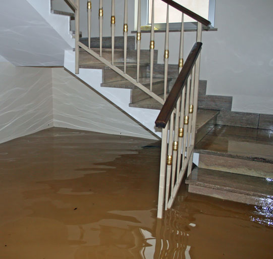 Water Damage Repair Cambridge