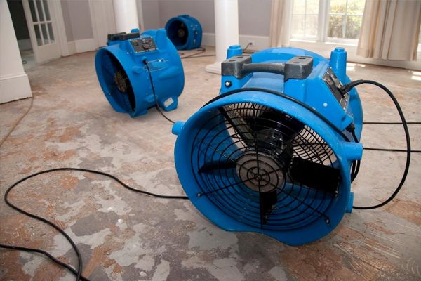 dehumidification services