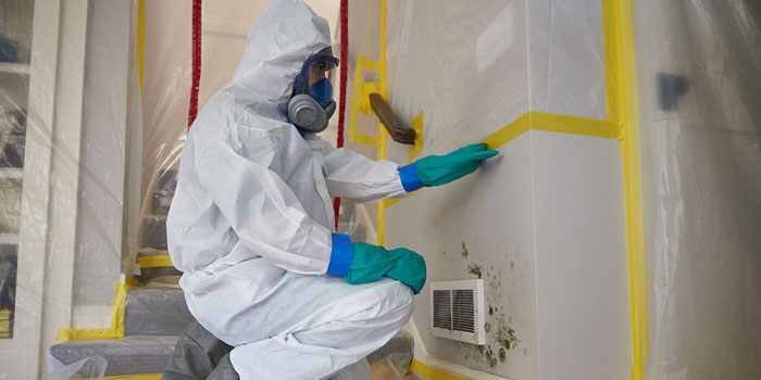 Mold Remediation Company Aberdeen